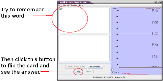 review interface